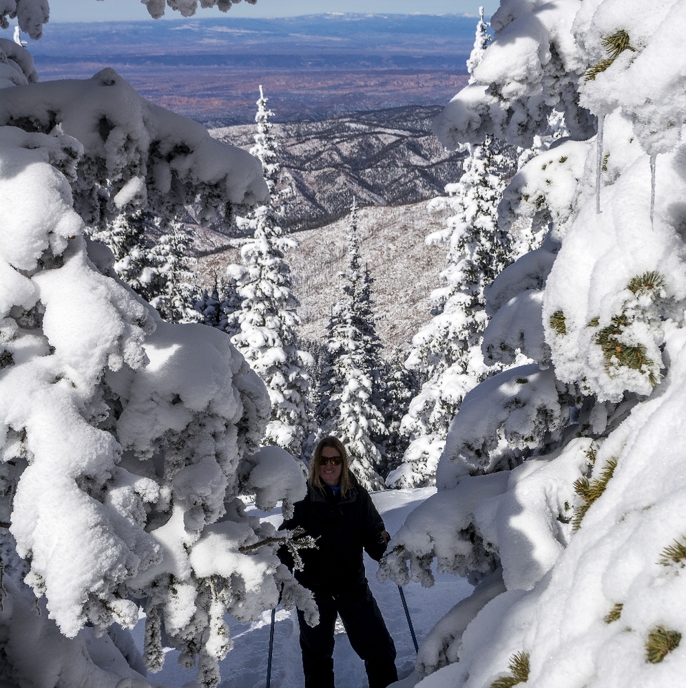 Meet your Posher, Kai